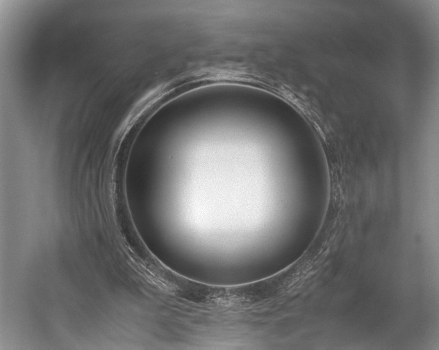 X0000060230199200510281143