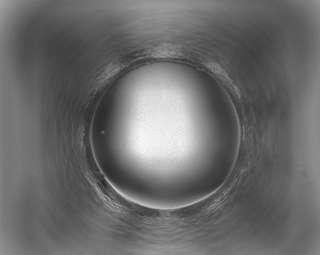 X0000060230201200510281143