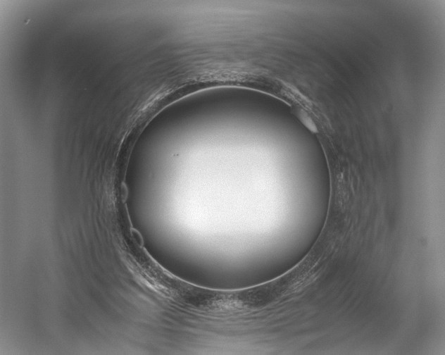 X0000060230203200510281143