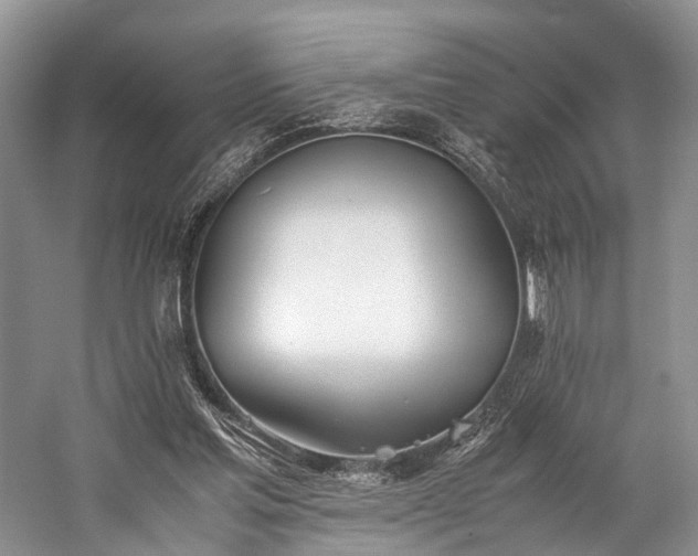 X0000060230205200510281143