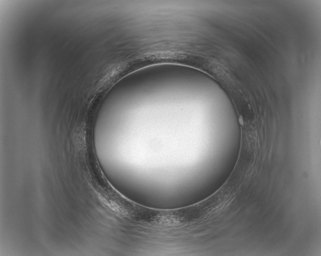 X0000060230207200510281143