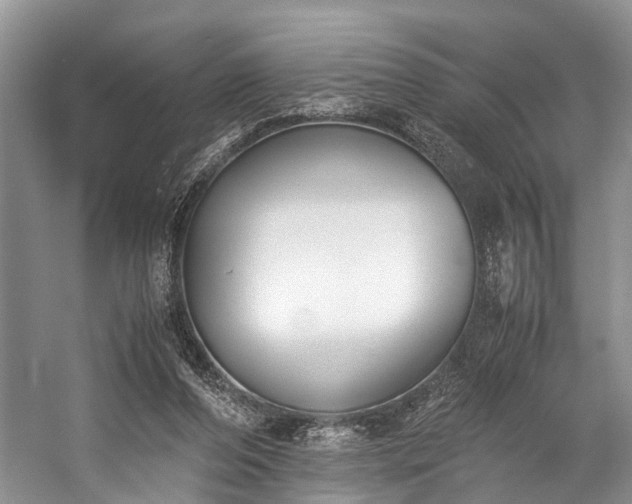 X0000060230208200510281143