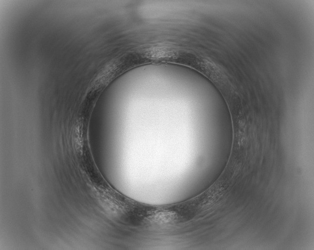 X0000060230210200510281143