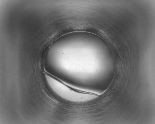 X0000060230211200510281143