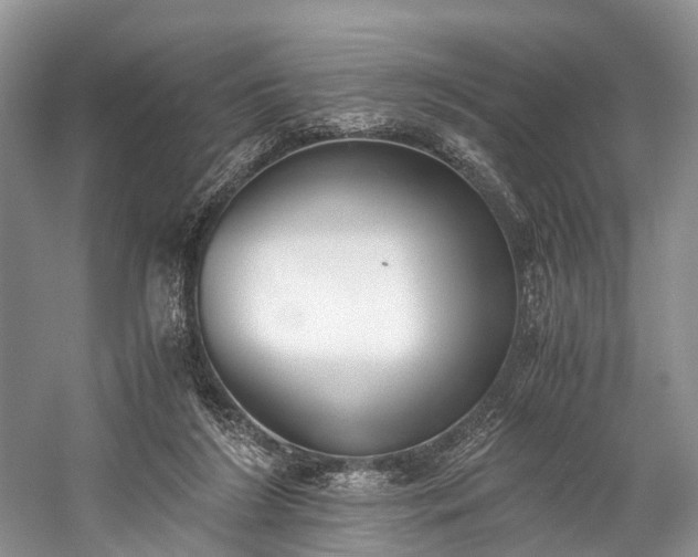 X0000060230212200510281143