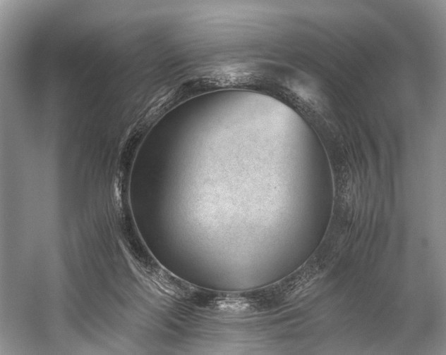X0000060230214200510281143