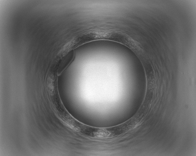 X0000060230215200510281143