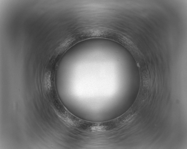 X0000060230216200510281143