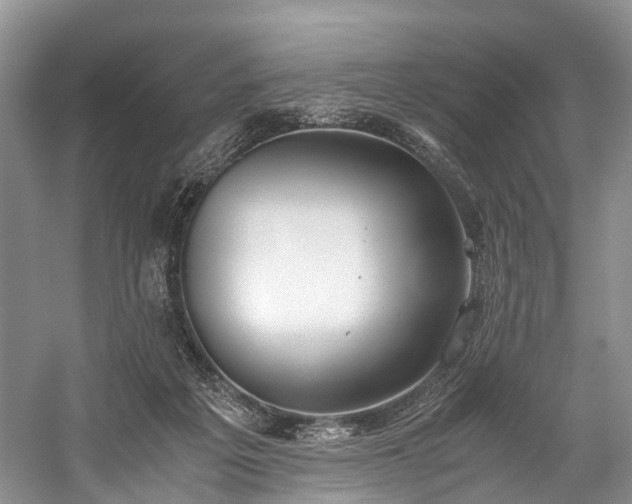 X0000060230217200510281143