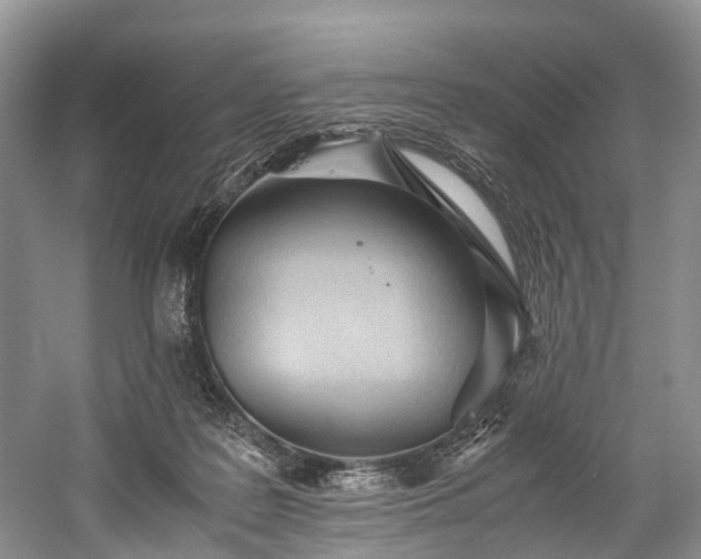 X0000060230219200510281143