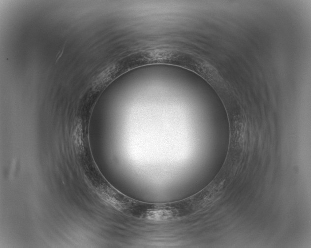 X0000060230220200510281143