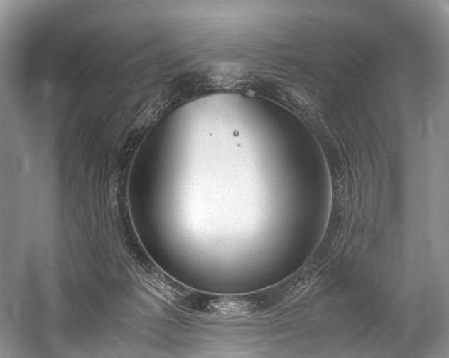 X0000060230221200510281143