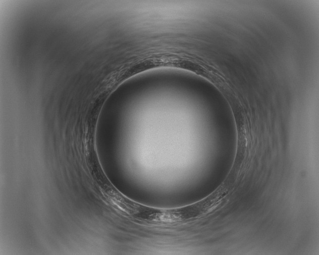 X0000060230223200510281143