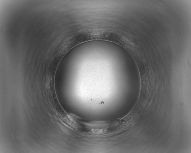 X0000060230225200510281143