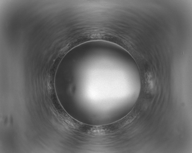 X0000060230228200510281143