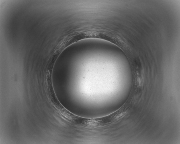 X0000060230229200510281143