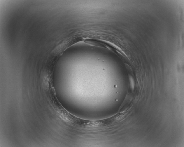 X0000060230235200510281143