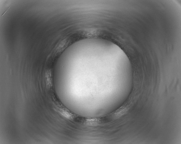 X0000060230240200510281143