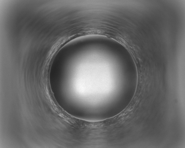 X0000060230241200510281142