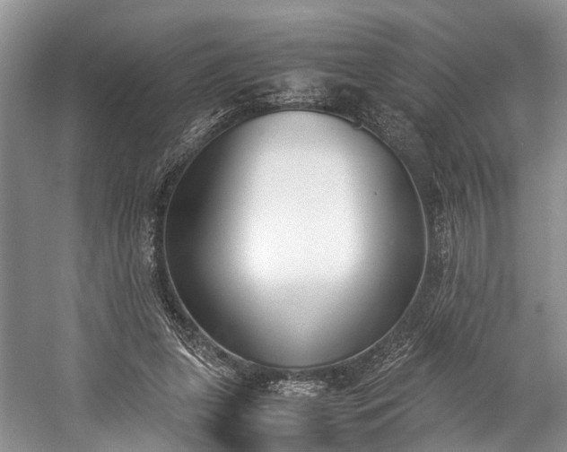 X0000060230255200510281142