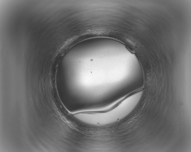 X0000060230256200510281142
