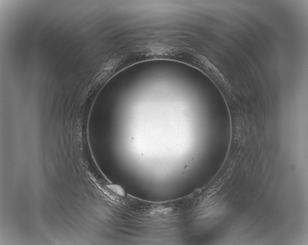 X0000060230257200510281142