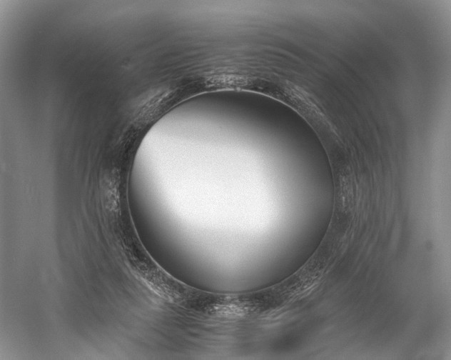 X0000060230259200510281142