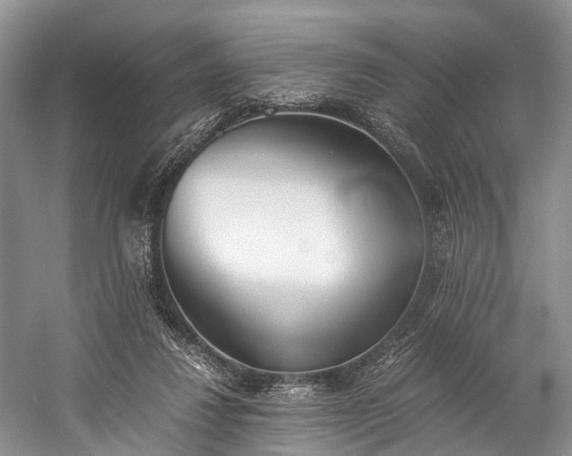 X0000060230260200510281142