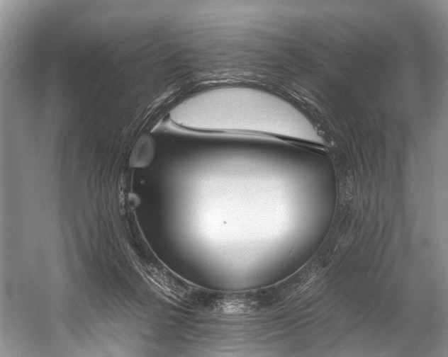 X0000060230264200510281142