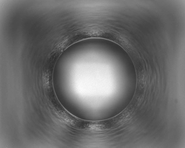 X0000060230268200510281142