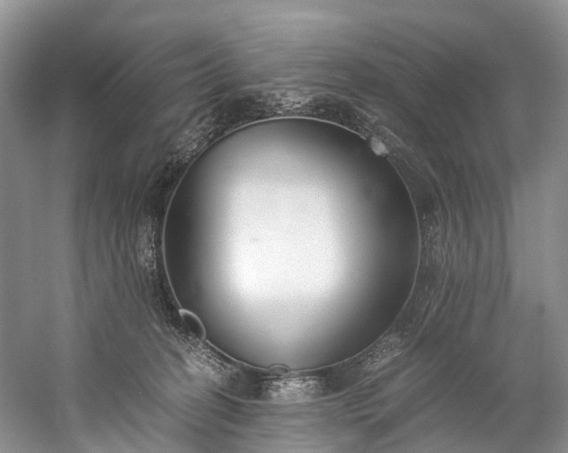 X0000060230274200510281142