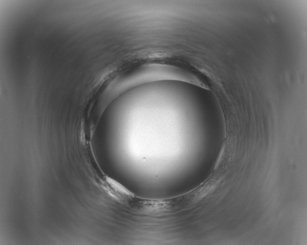 X0000060230288200510281143