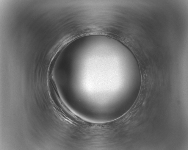 X0000060230290200510281142