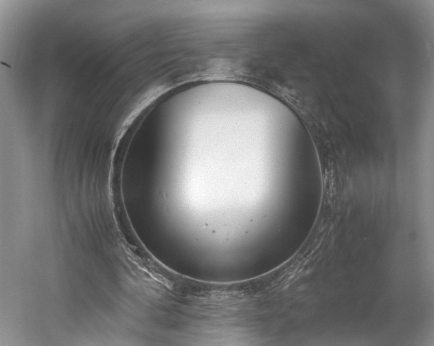 X0000060230292200510281142