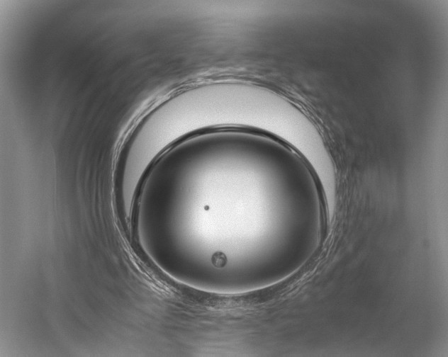 X0000060230293200510281142