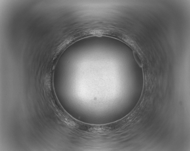 X0000060230297200510281142