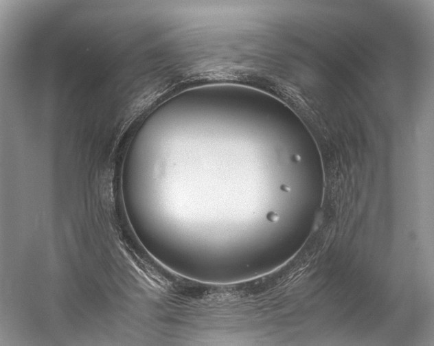 X0000060230299200510281142