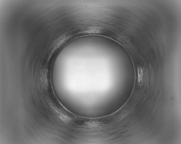 X0000060230300200510281142