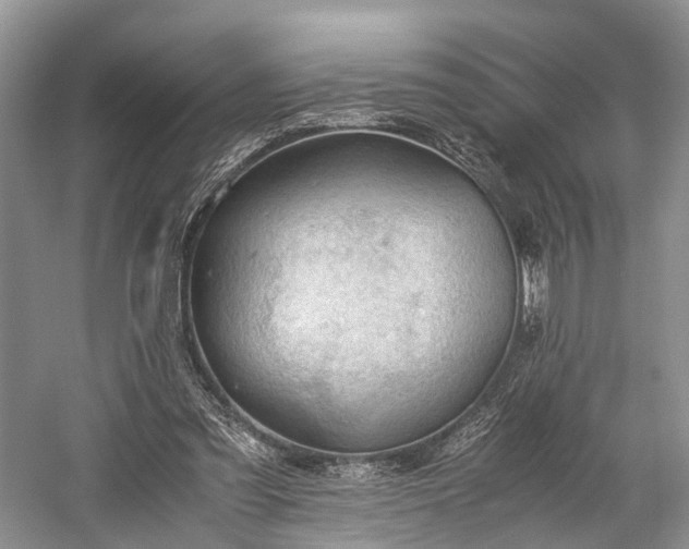 X0000060230301200510281142