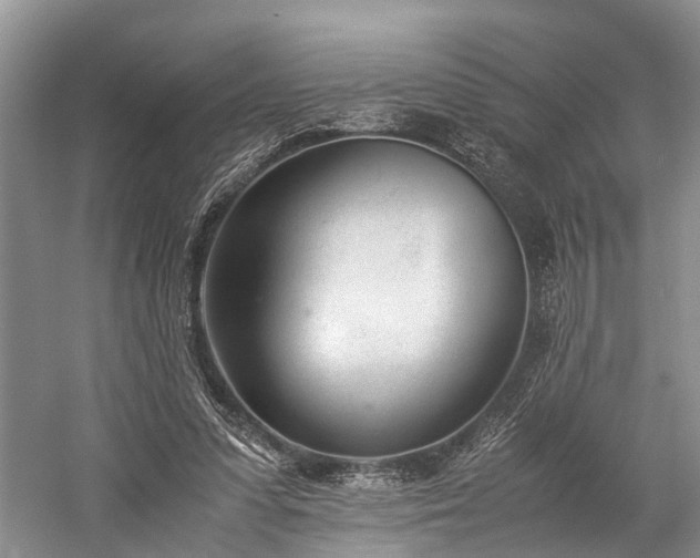 X0000060230303200510281142