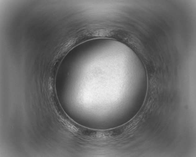 X0000060230305200510281142