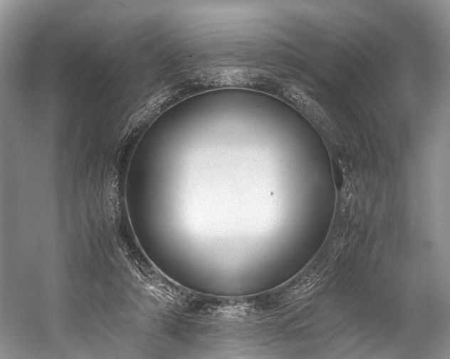 X0000060230306200510281142