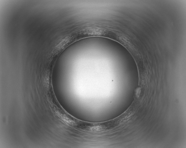 X0000060230309200510281142