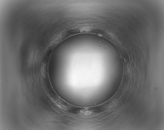 X0000060230311200510281141