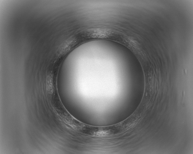 X0000060230312200510281141