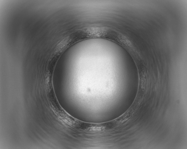 X0000060230314200510281141