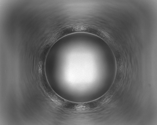 X0000060230315200510281141