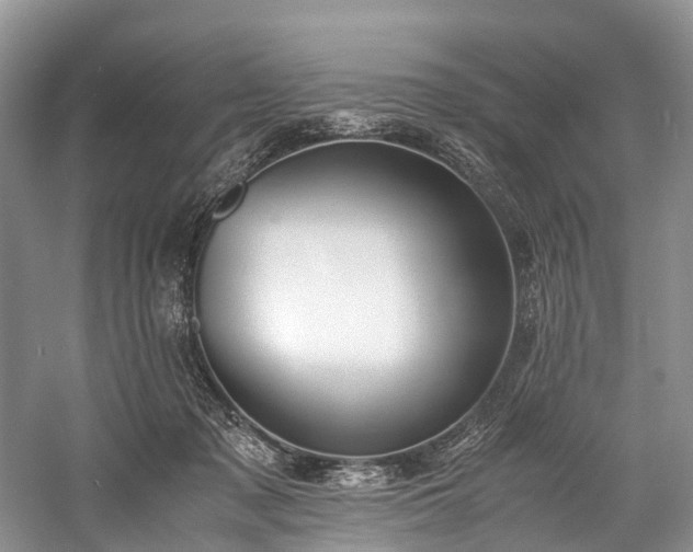 X0000060230317200510281141