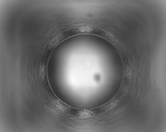 X0000060230321200510281141