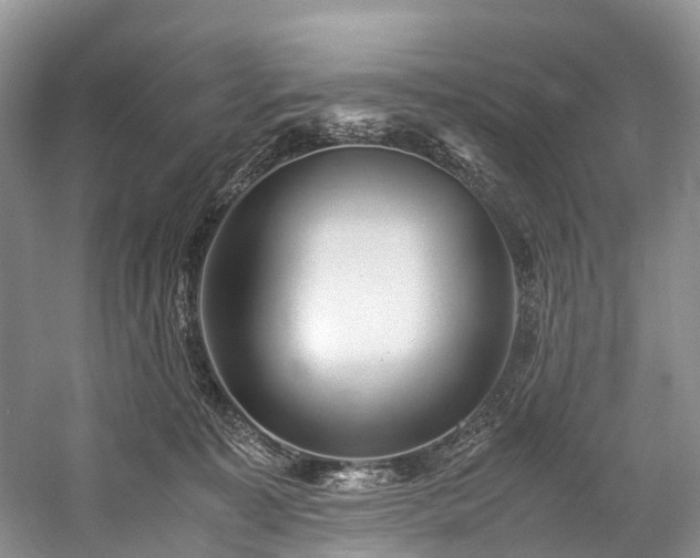 X0000060230323200510281141